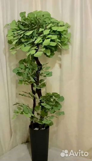 Озеленение в интерьере