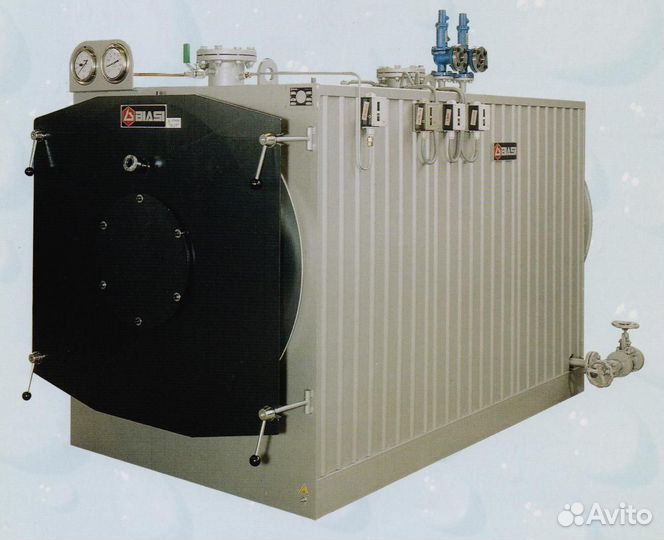 Водогрейные котлы Biasi RAS свыше 115 С - чертежи