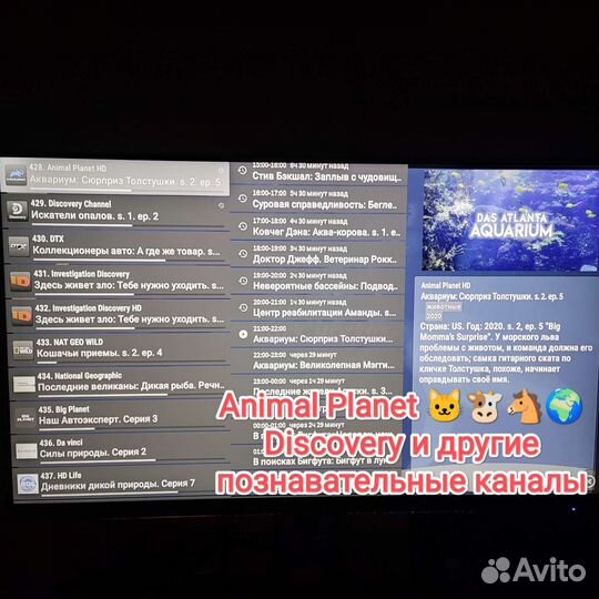 TV приставка ZTE B866 Прошитая с голосовым пультом