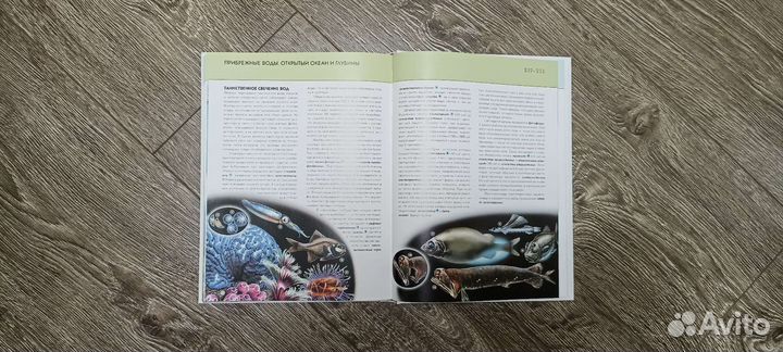 Книга-энциклопедия 