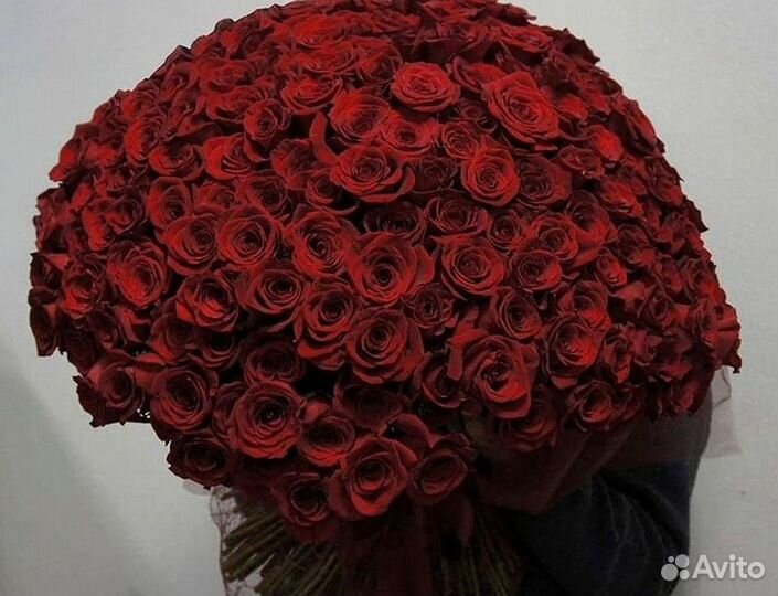 Высокие розы Гигантские Розы 150 160 170 180 190см