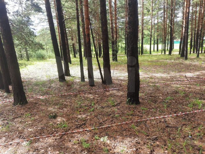 Участок 12,5 сот. (ИЖС)