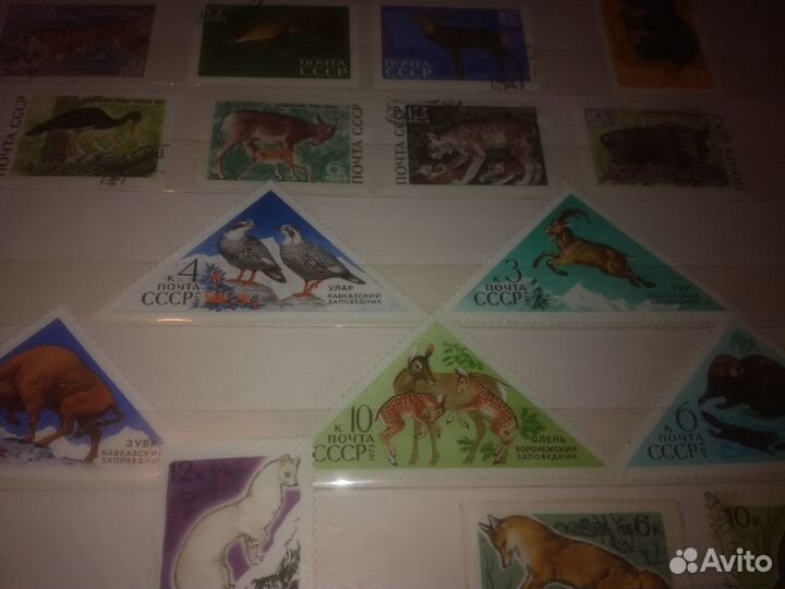 Марки-Фауна