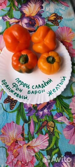 Перец болгарский семена
