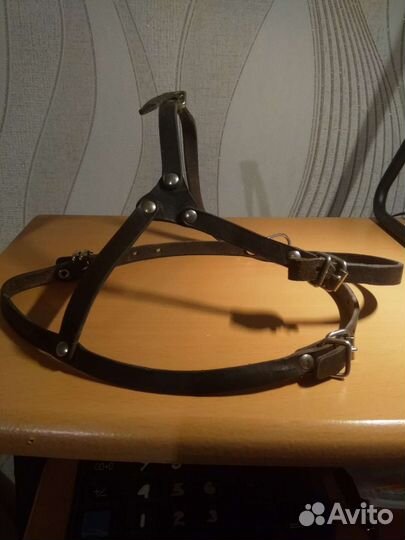 Шлейка для собаки
