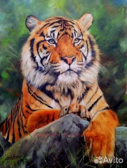 Картина по номерам 40x50 Большой тигр на камне