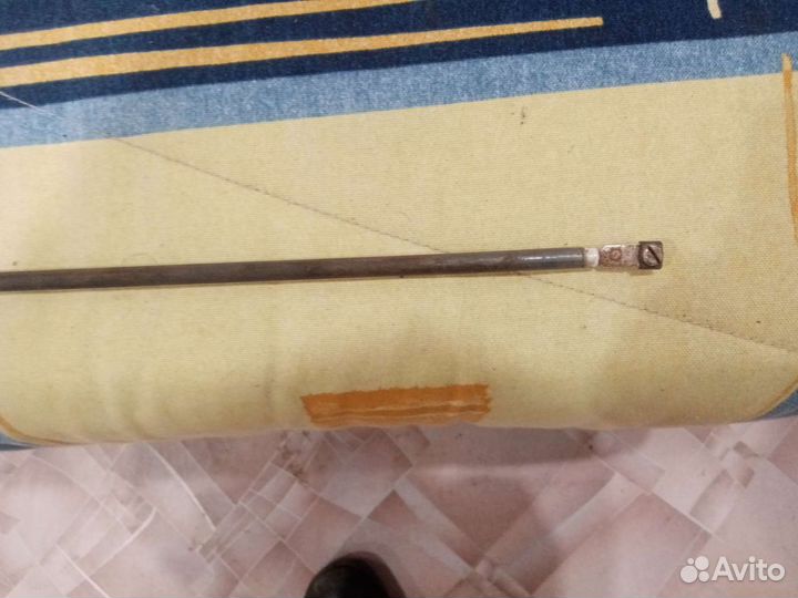 Тэн немецкий