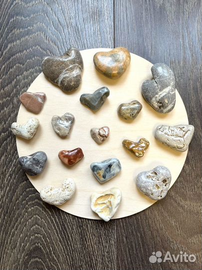 Картины из морских даров