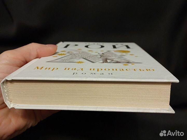 Роман с афтографом. Мир над пропастью. О. Рой