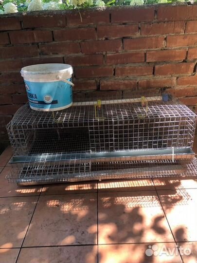Клетка для перепелок