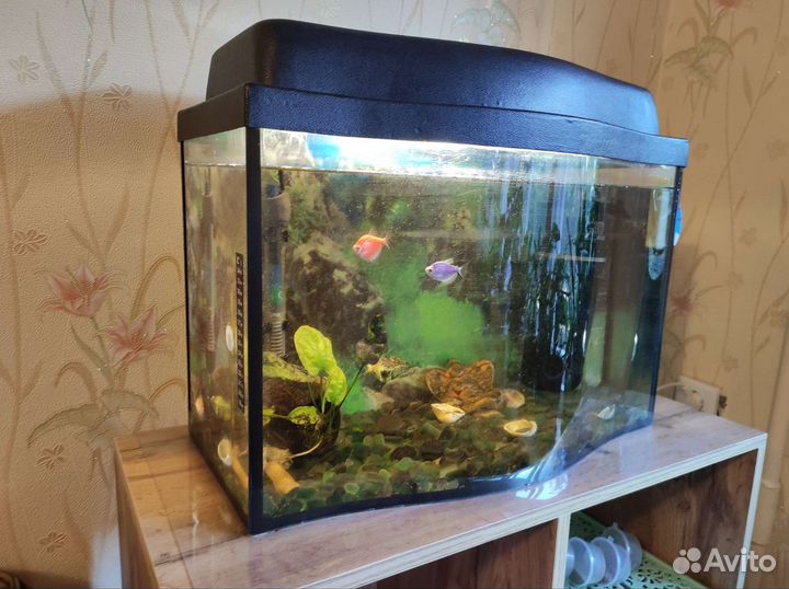 Аквариум