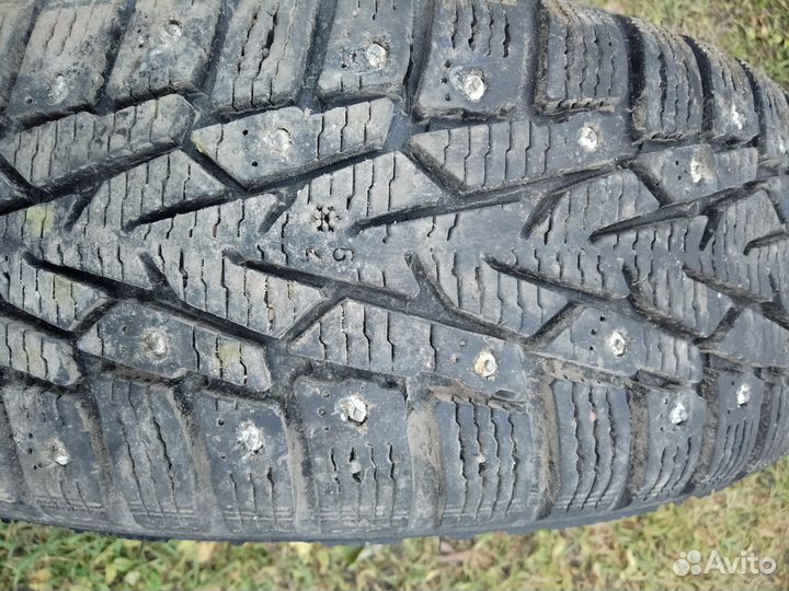 Nokian Tyres Nordman 7 175/65 R14