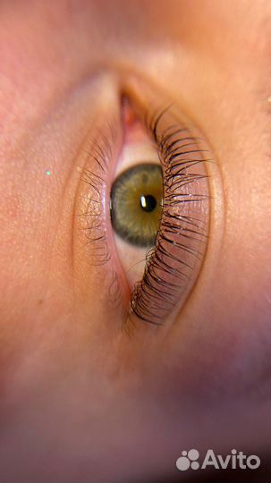 Лашмейкер, ламимейкер, бровист