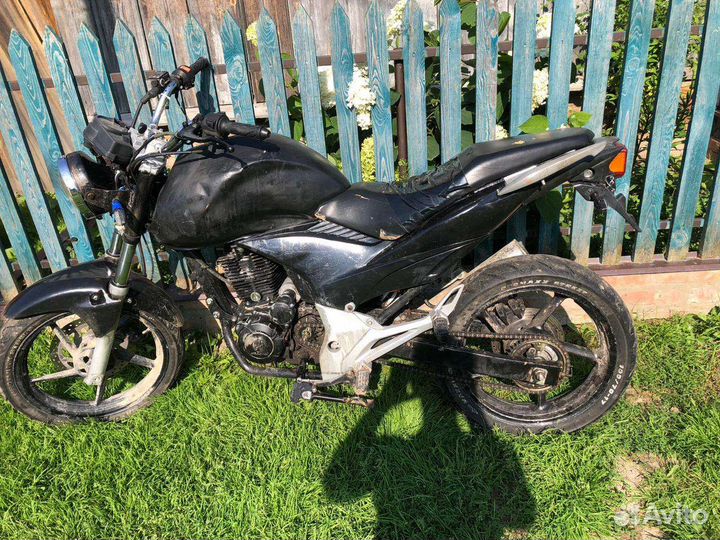 Стелс флекс 250