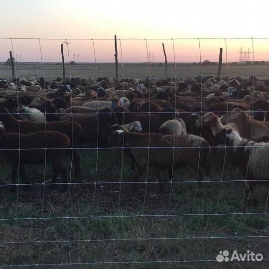 Сетка для забора шарнирная