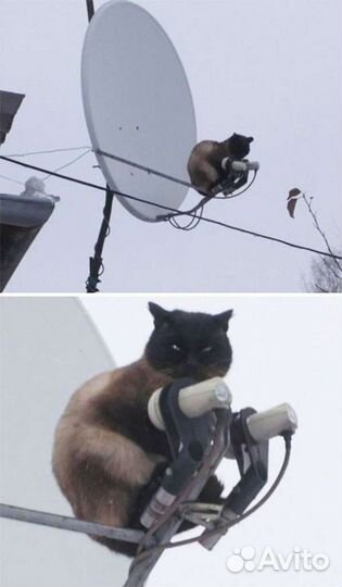 Настройка Установка Цифрового и Спутникого тв