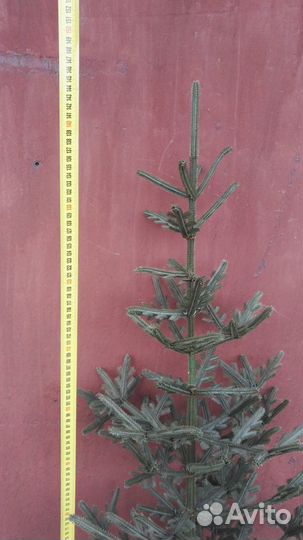 Елка искусственная СССР