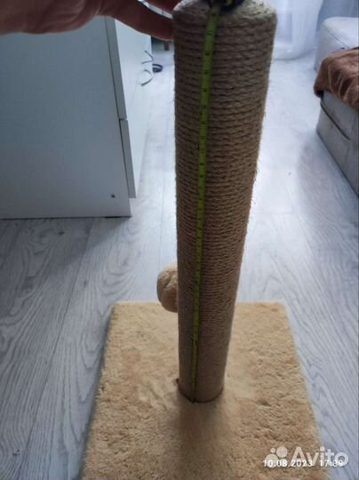 Когтеточка