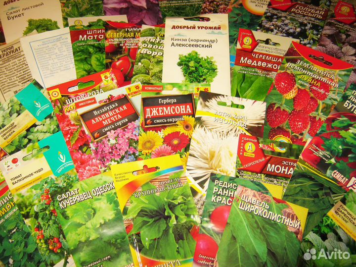 Отдаем наборы семян + микрозелень + горшочки