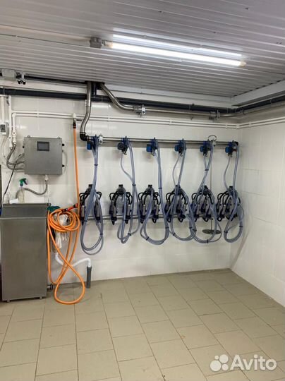 Продажа фермы