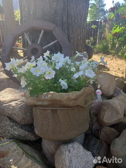 Ваза для флорариума