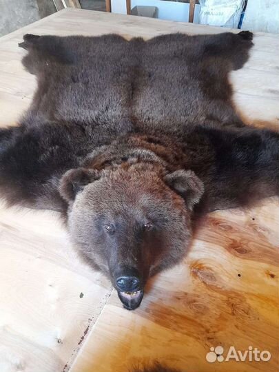 Имитация ковер Медведь