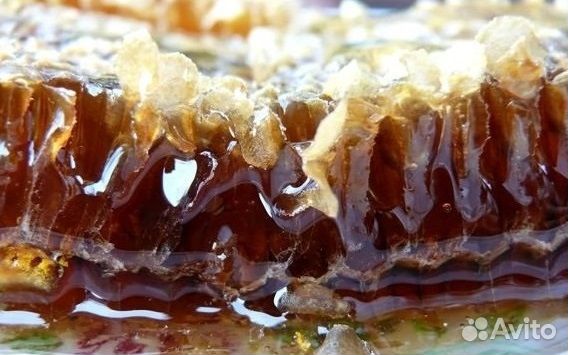 Мёд свежий 2023 г (с доставкой по Тюмени)