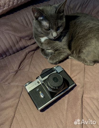 Плёночный фотоаппарат Zenit-E (Зенит Е)