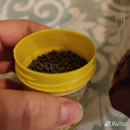 Кормя для креветок Sera shrimps nature