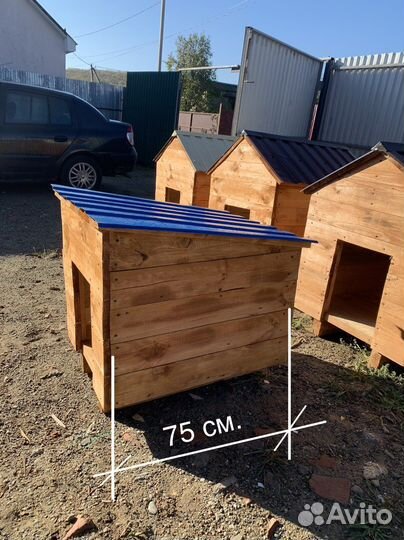 Собачья будка