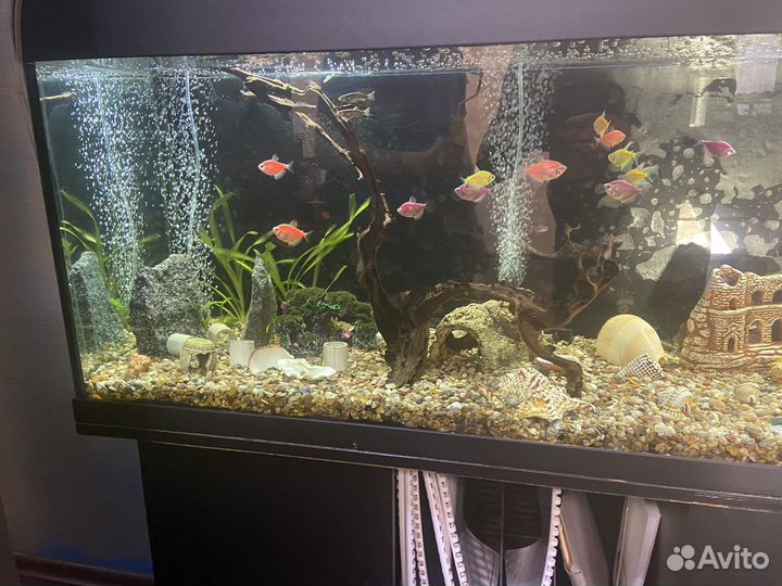 Аквариум 200 литров с тумбой