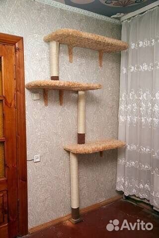 Комплексы настенные с когтеточками и полками