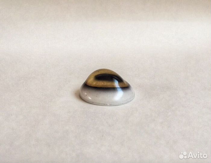 Глаза для чучела барана Марко Поло