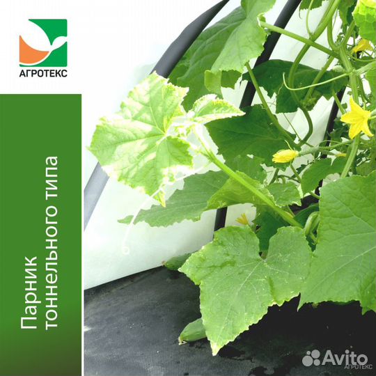 Парник тоннельного типа 4м