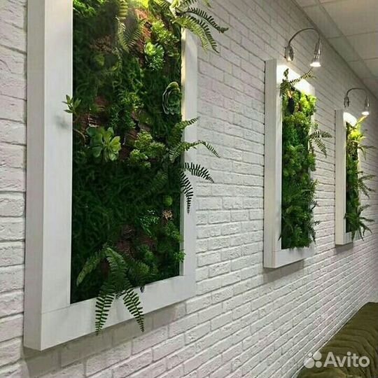 Оформление дизайн витрин магазинов салонов офисов