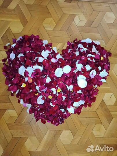 Свежие лепестки роз Букеты из роз