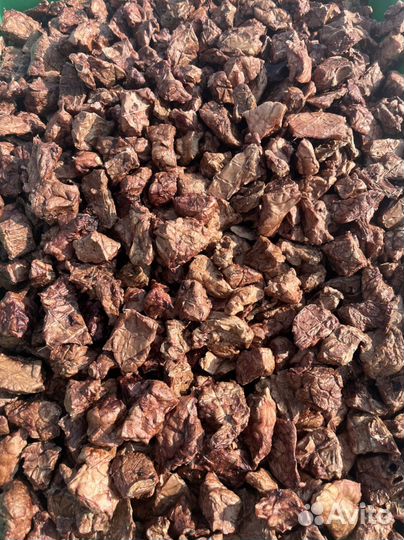 Лакомства для собак