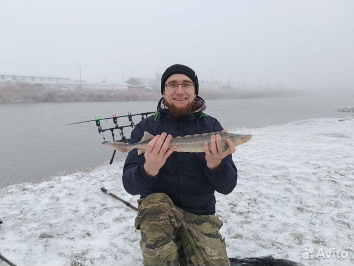 Рыбалка на карпа, амура, сома, царскую рыбу