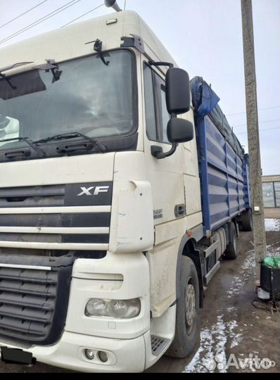 Зерно пшеница ячмень