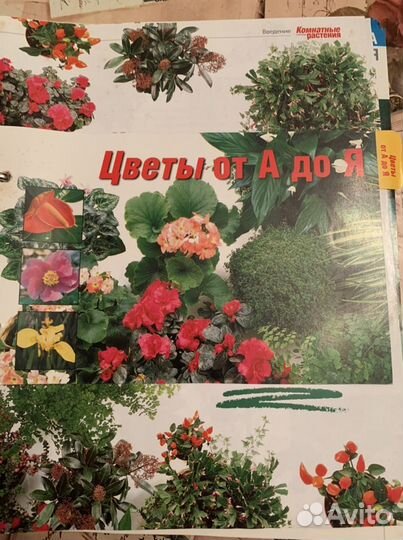 Журнал о цветах