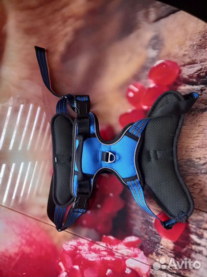 Шлейка для крупных и средних собак