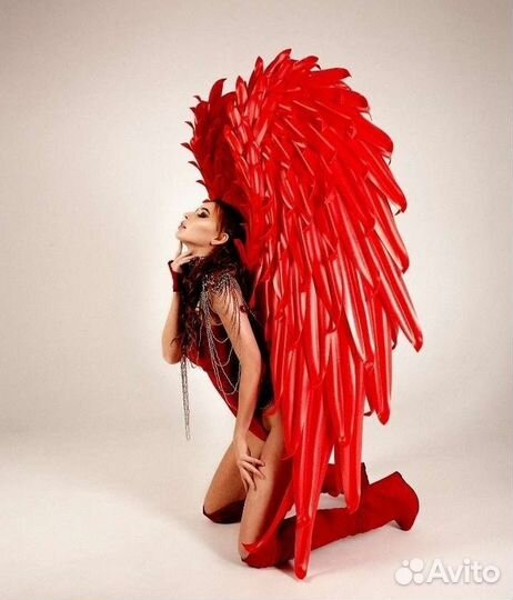 Красные Крылья Ангела,Прокат