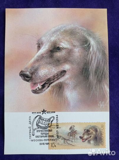 Картмаксимумы 1988г