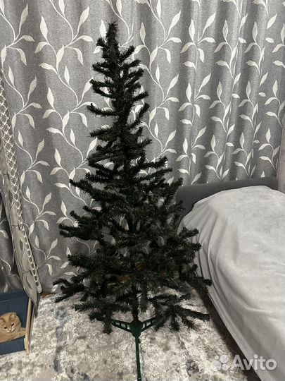 Ель 170 см