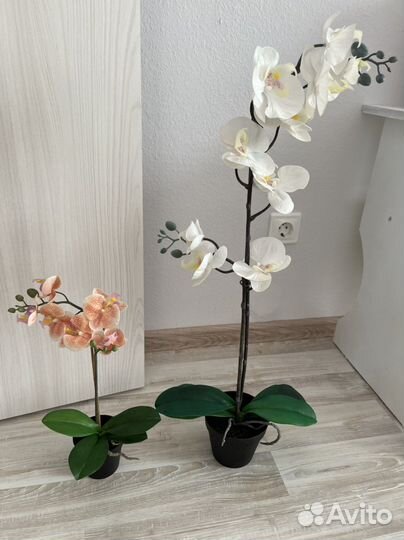 Орхидея искусственная IKEA