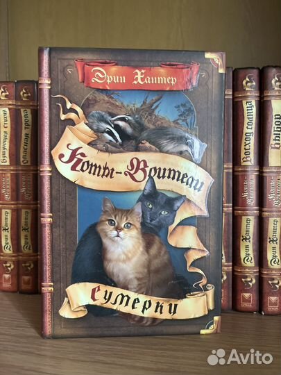 Коты воители