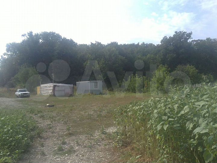 Участок 10 сот. (ИЖС)