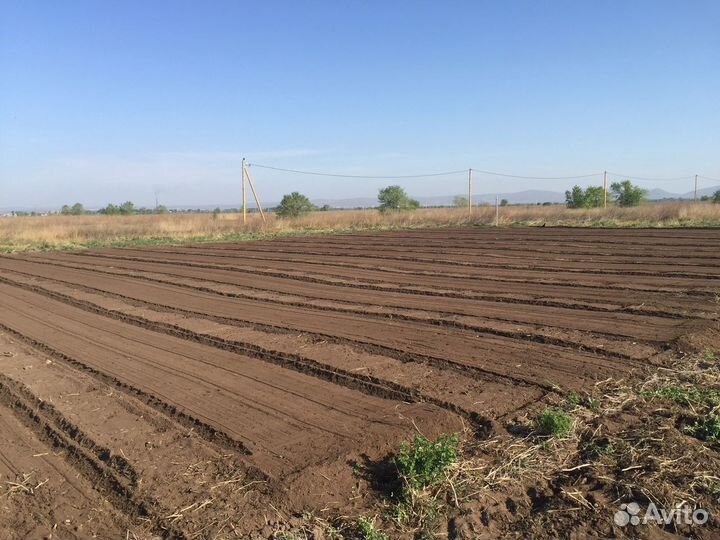 Вспашка земли (минитрактор)