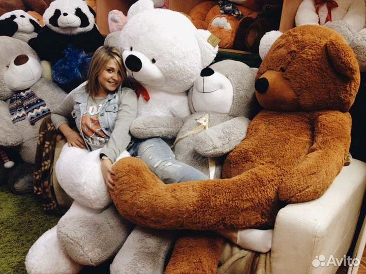 Плюшевые мишки