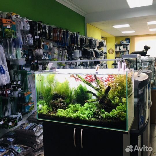 Аквариумный салон 